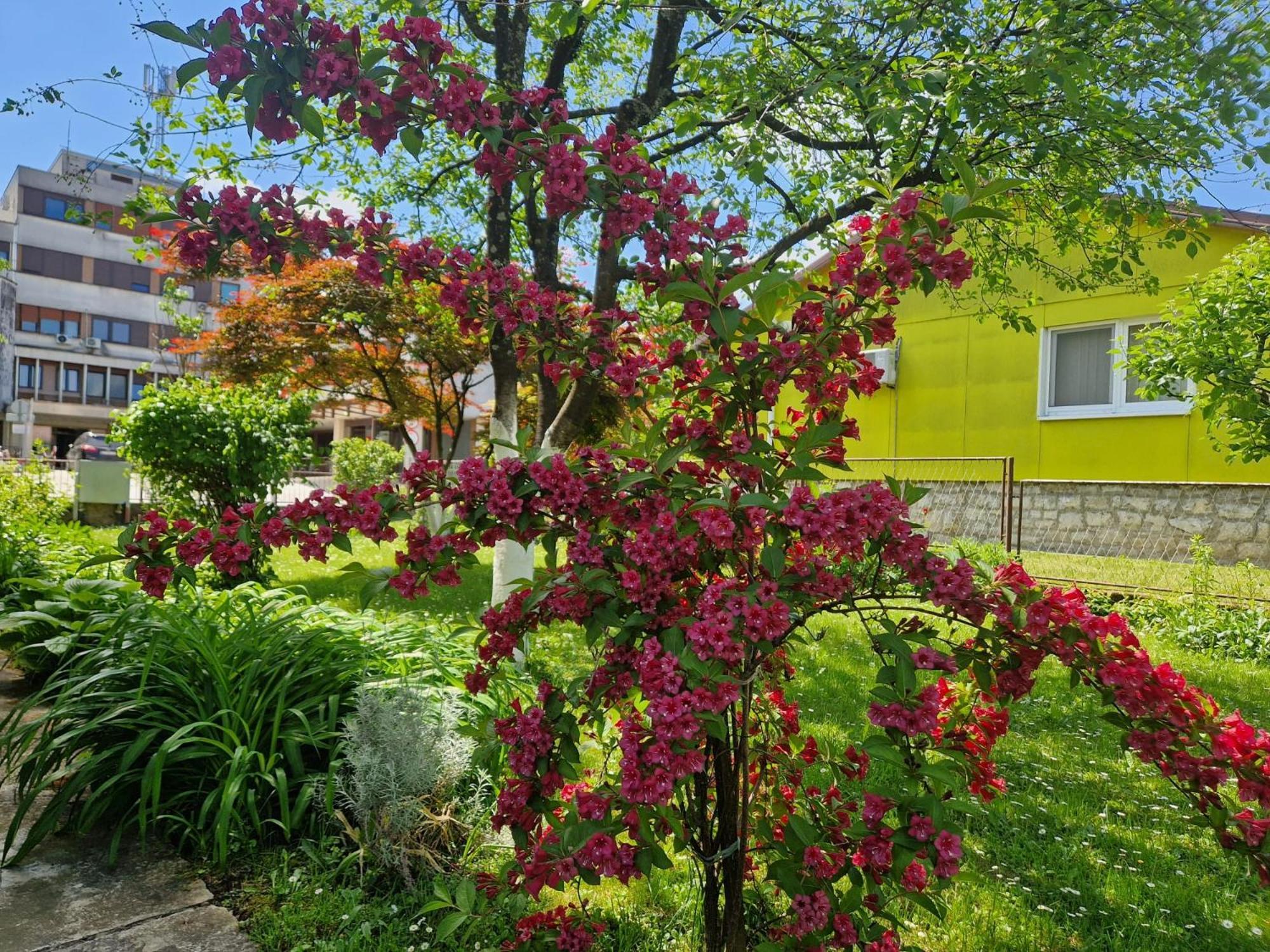 Studio Apartman Marica - Ogulin, Hrvatska Exterior photo