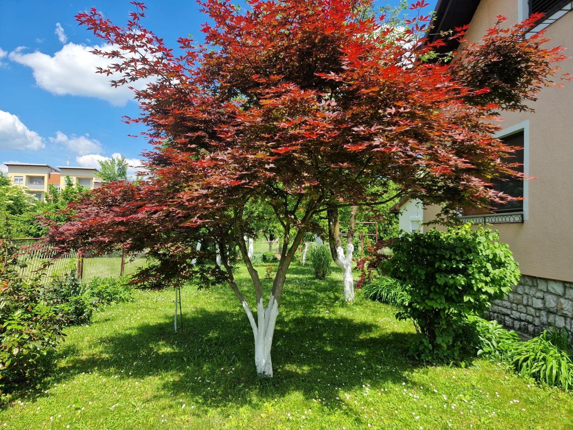 Studio Apartman Marica - Ogulin, Hrvatska Exterior photo